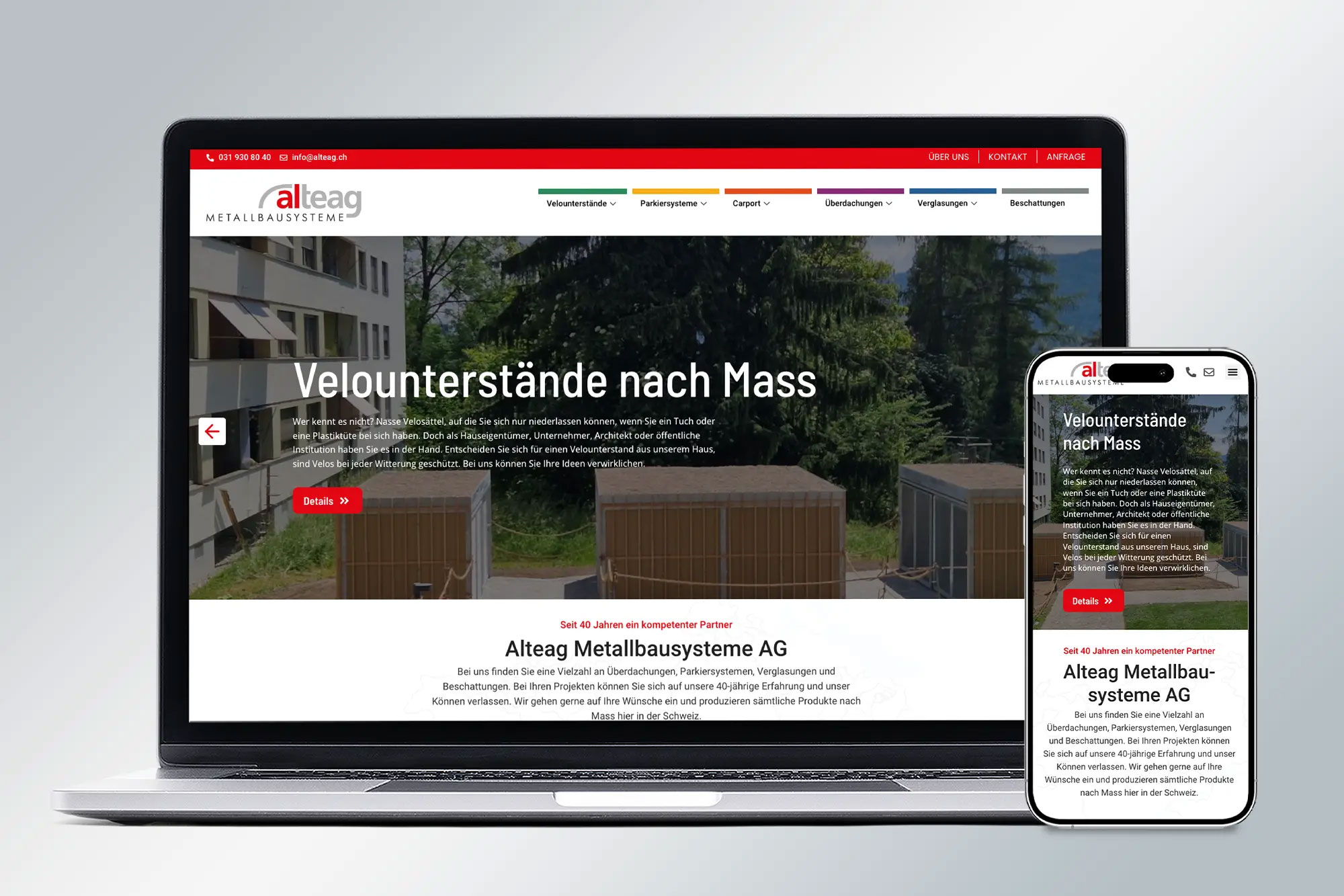 Alteag Metallbausysteme